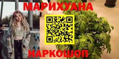 гашик Будённовск