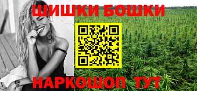 гашик Будённовск