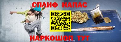 гашик Будённовск
