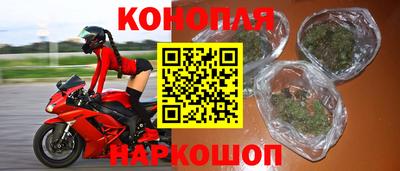 гашик Будённовск