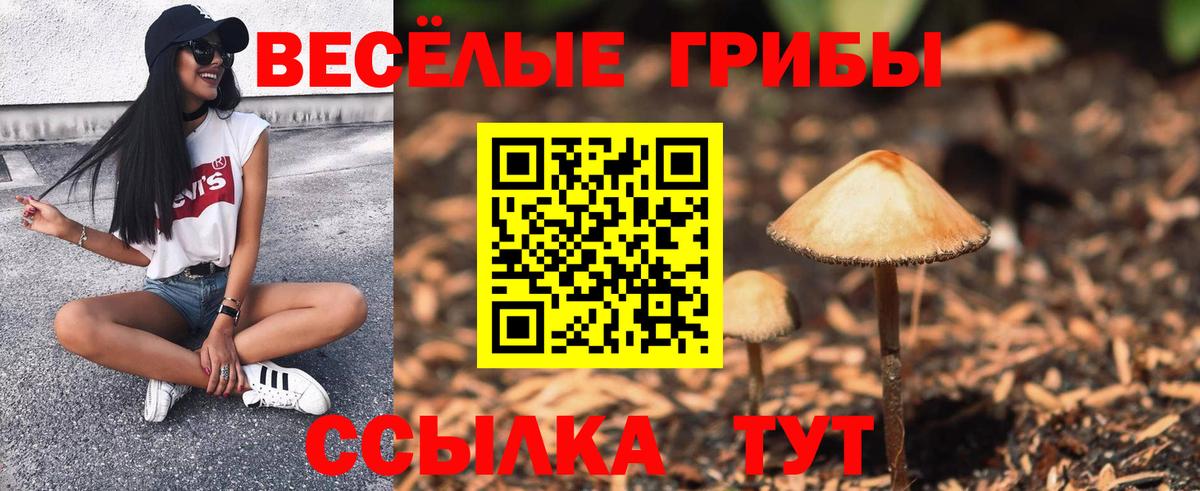 Подольск  Галлюциногенные грибы Psilocybe  Вход с VPN 