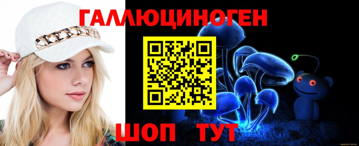 Псилоцибиновые грибы Psilocybine cubensis Подольск